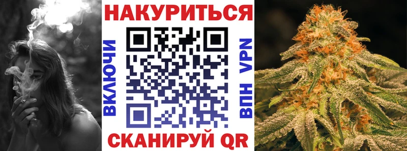Бошки марихуана сатива  Каргат 
